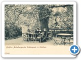 Schlosspark_mit_Grafen_Aichelburg